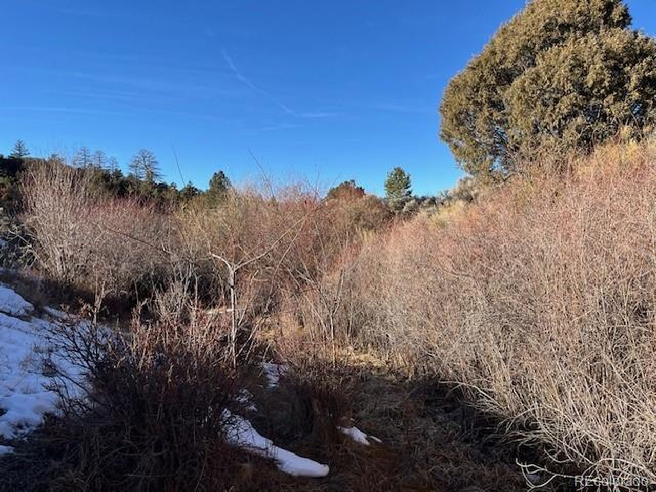 6016 Forbes Road San Luis, CO 81152 - Photo 8 of 20 a view of a yard