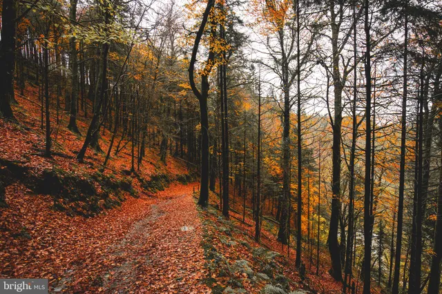 $425,000 | 3225 Burn Brae Drive, Dresher, PA 19025