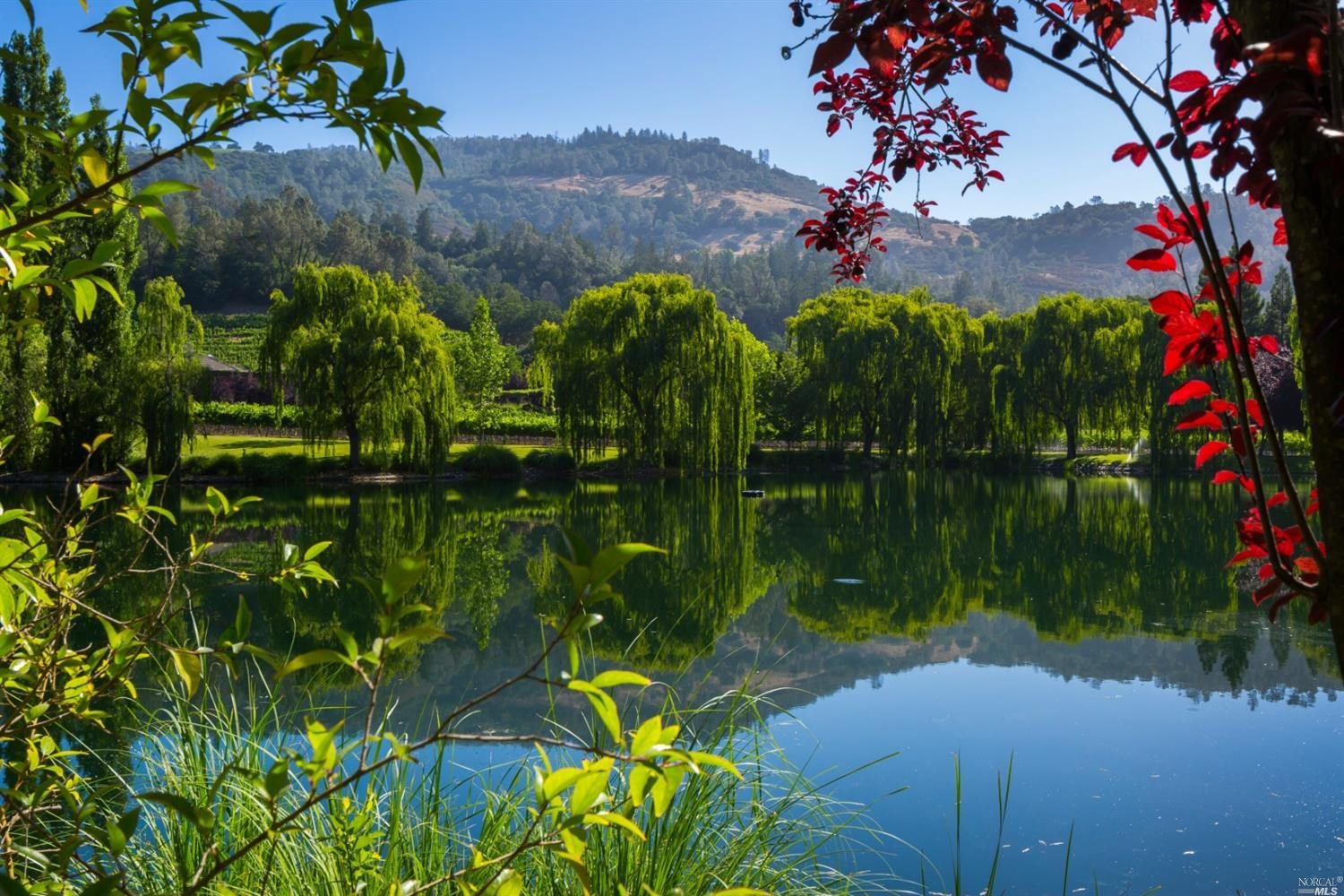 3880 Silverado Trail North Calistoga, CA 94515 - Photo 1 of 1