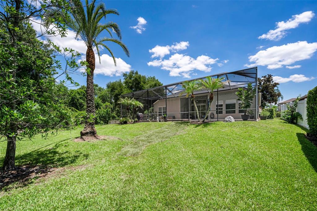 16207 Rambling Road Odessa, FL 33556 - Photo 61 of 76