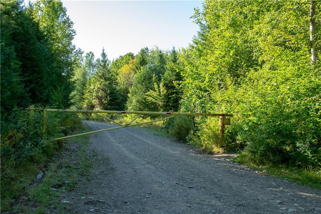 Lot 3.31 Elm Pond Road Greenville, ME 04441 - Photo 28 of 34 Photo