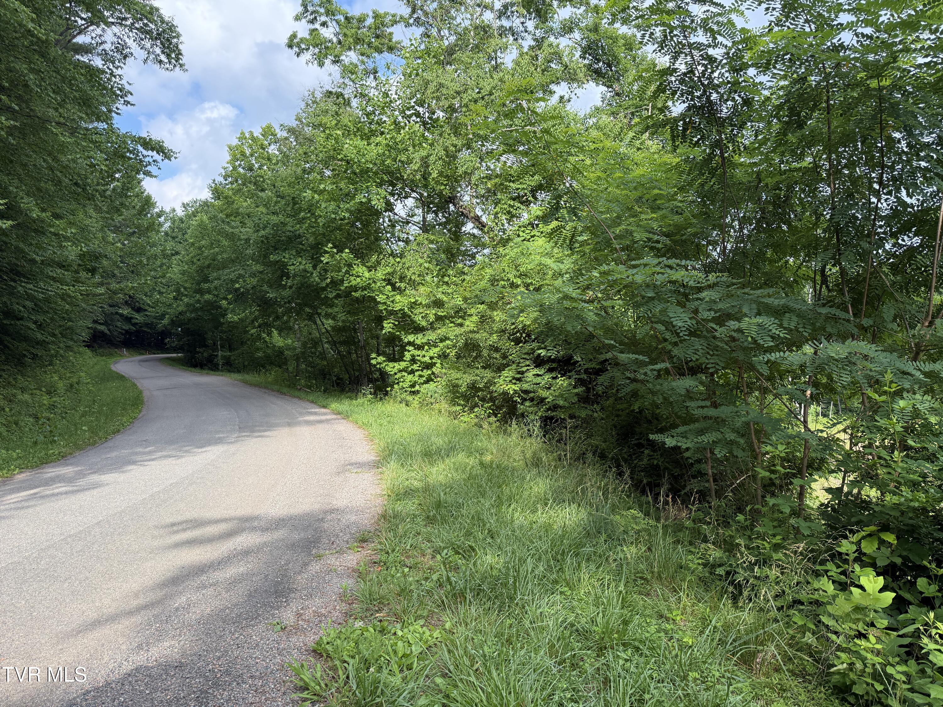 Tbd Rhea Lane, Unit 57 & 58 Mountain City, TN 37683 - Photo 4 of 10 TBD Rhea Lane 4