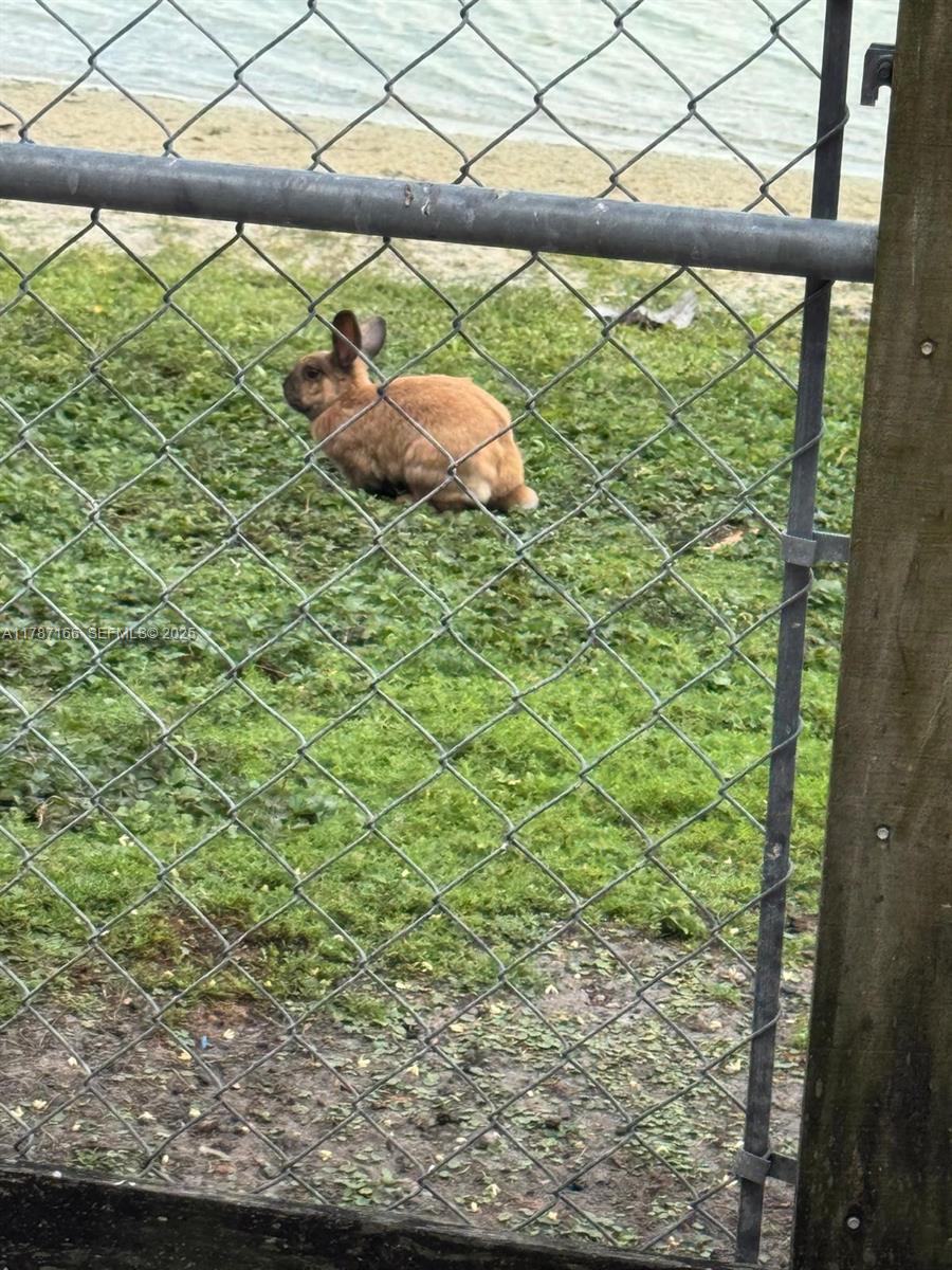 12355 Northwest 7th Lane Miami, FL 33182 - Photo 19 of 21 a view of a yard