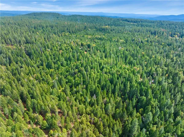 a view of a lush green outdoor space with a lake view