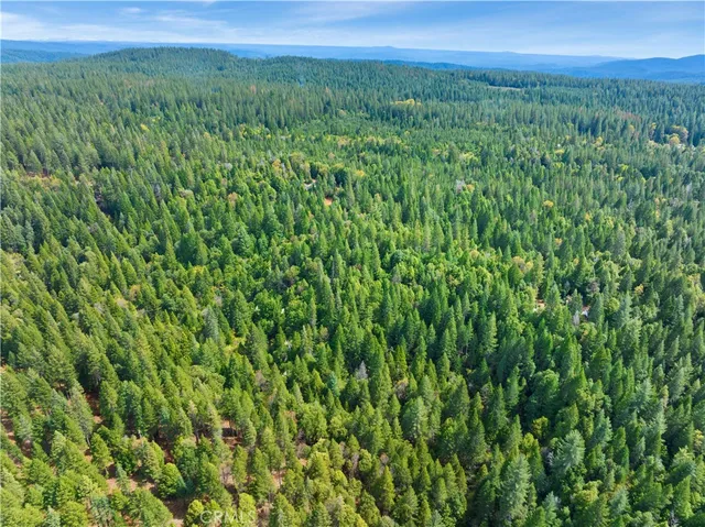 $210,000 | 63 Binet Road, Clipper Mills, CA 95930