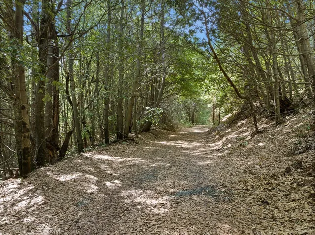 $210,000 | 63 Binet Road, Clipper Mills, CA 95930