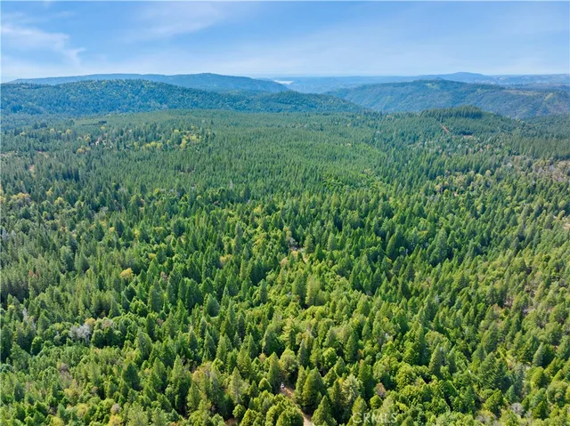 $210,000 | 63 Binet Road, Clipper Mills, CA 95930