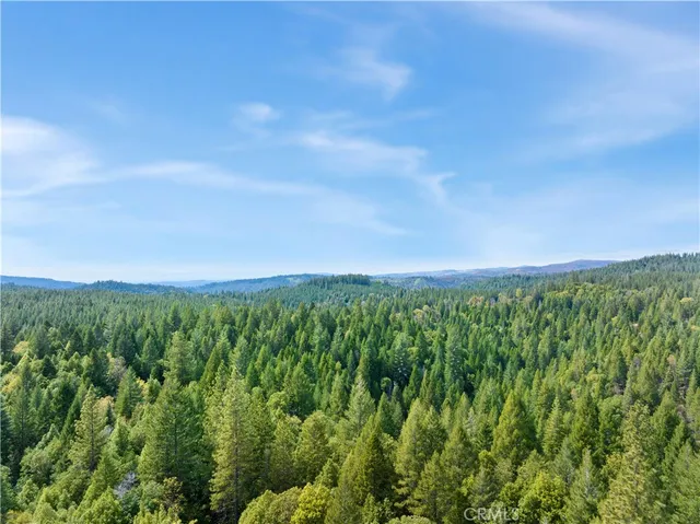 $210,000 | 63 Binet Road, Clipper Mills, CA 95930