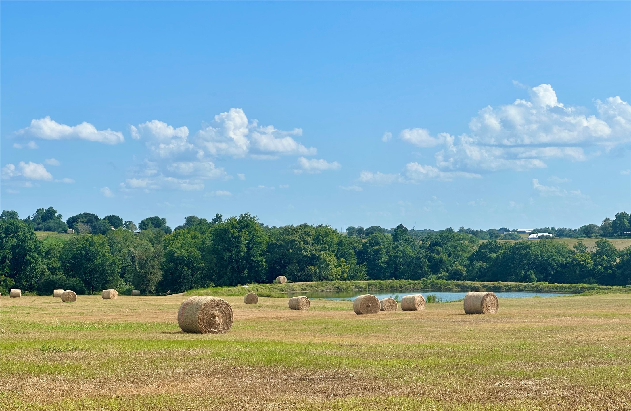 601 All Jersey Road Brenham, TX 77833 - Photo 31 of 31 Gallery Image 31