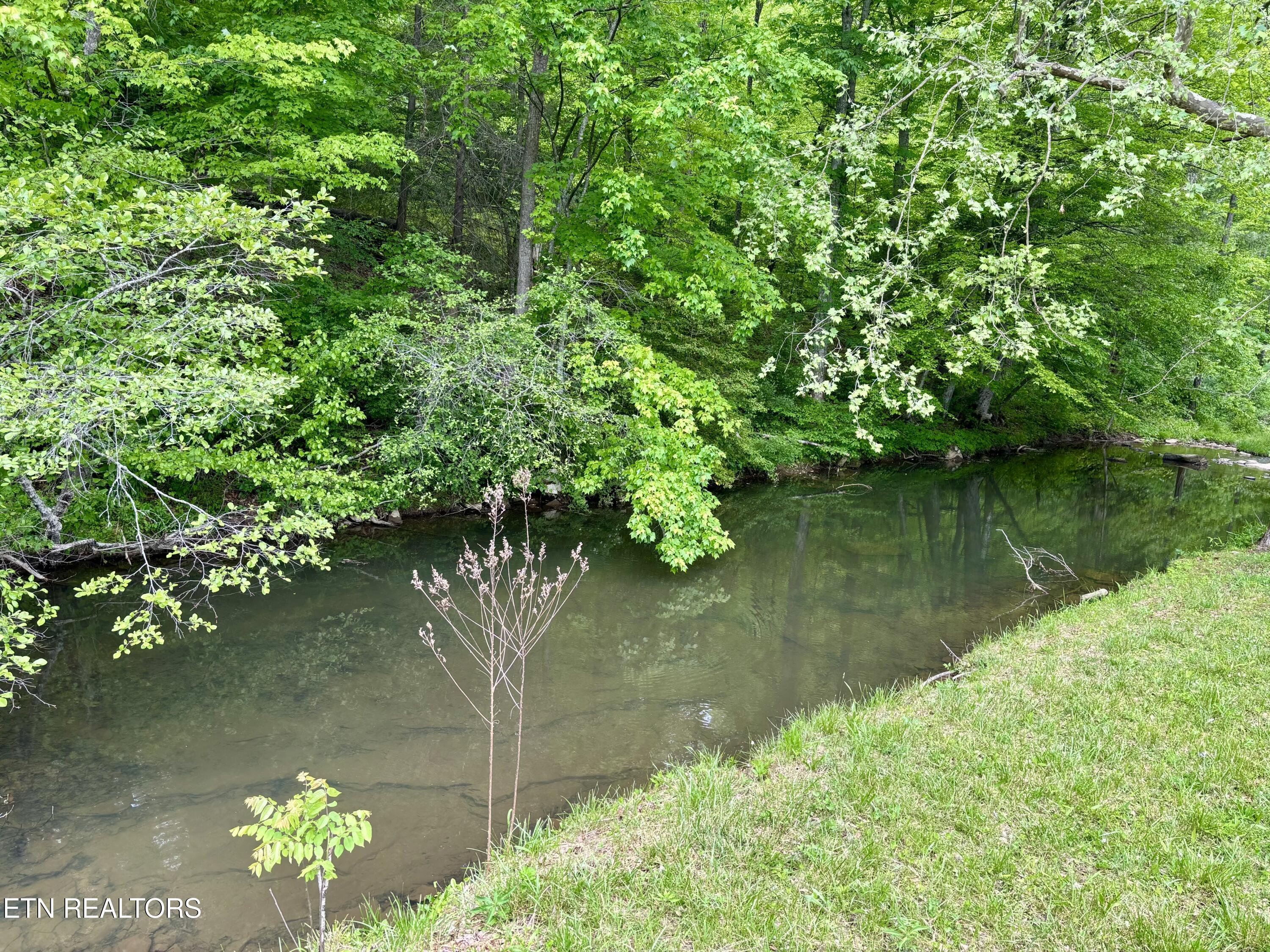 361 Cotula Road Duff, TN 37729 - Photo 23 of 28 IMG_0911