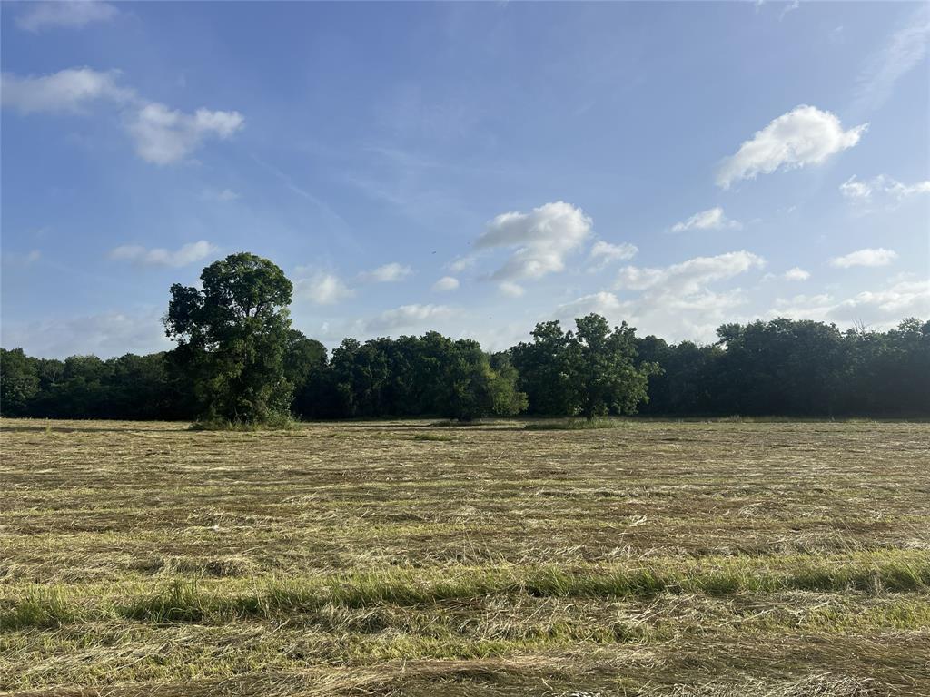 Seven Seven Oaks Road Bonham, TX 75418 - Photo 16 of 21