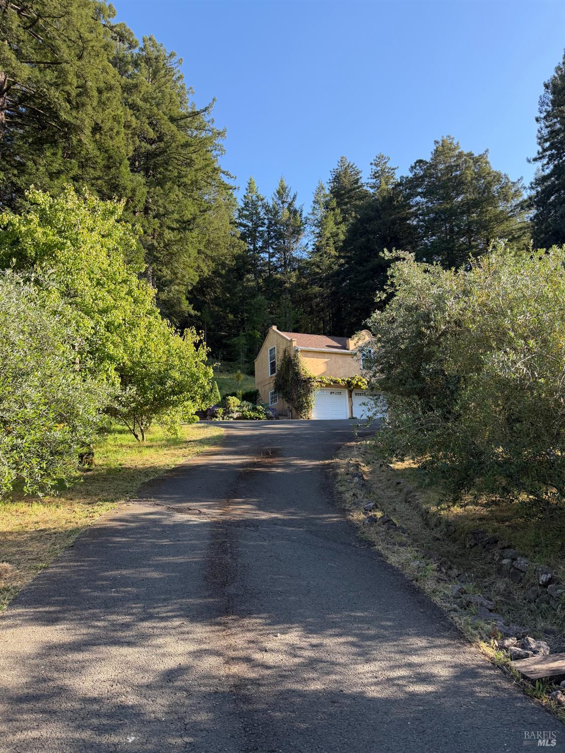16875 Coleman Valley Road Occidental, CA 95465 - Photo 73 of 78