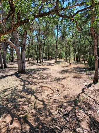 $8,999 | 16288 12th Avenue, Clearlake, CA 95422
