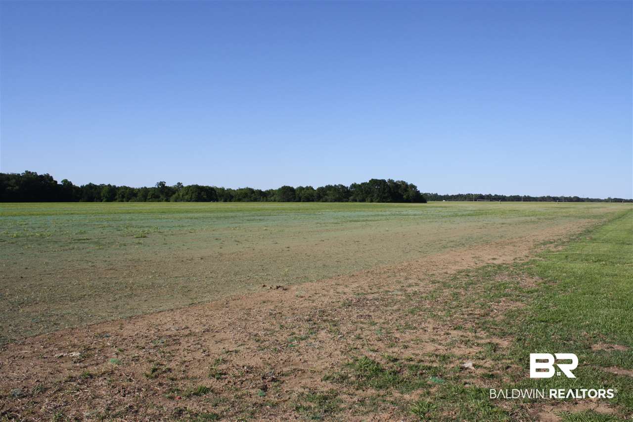 0 Vernant Park Road Foley, AL 36535 - Photo 10 of 20