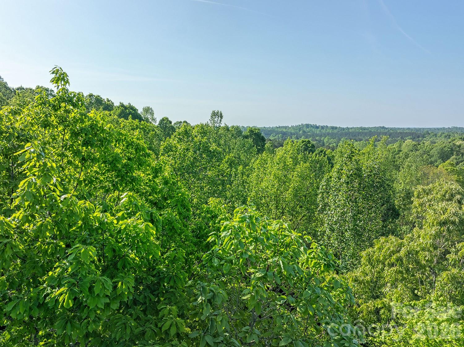 5555 Groves Road Union Mills, NC 28167 - Photo 21 of 26 a view of a green field
