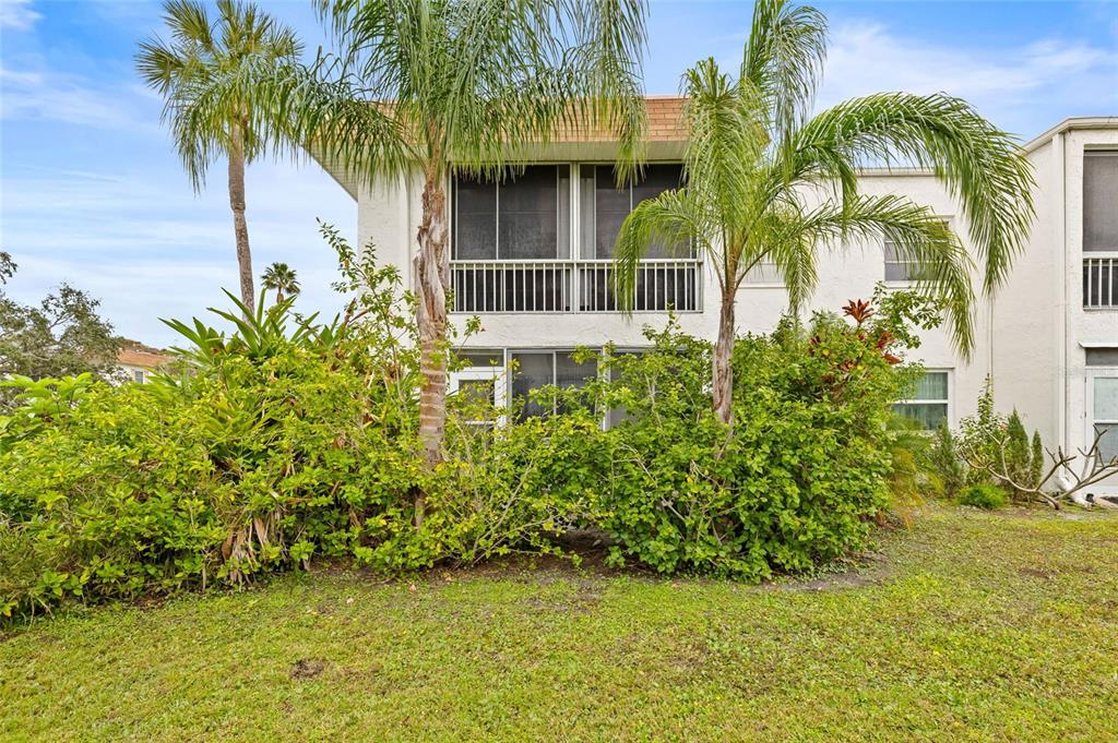 379 South McMullen Booth Road, Unit 75 Clearwater, FL 33759 - Photo 6 of 67