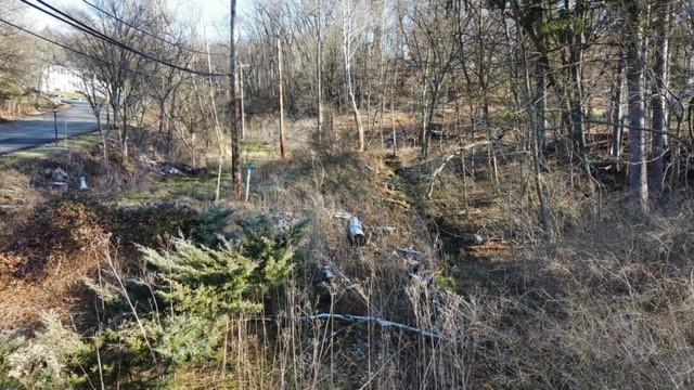 0 Evergreen Road Pittsburgh, PA 15237 - Photo 5 of 16 a view of forest