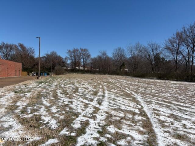 51 Highway Hernando Ms 38632 Hernando, MS 38632 - Photo 4 of 5 image_3