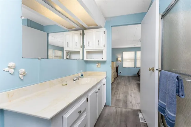 a bathroom with a sink a vanity and mirror
