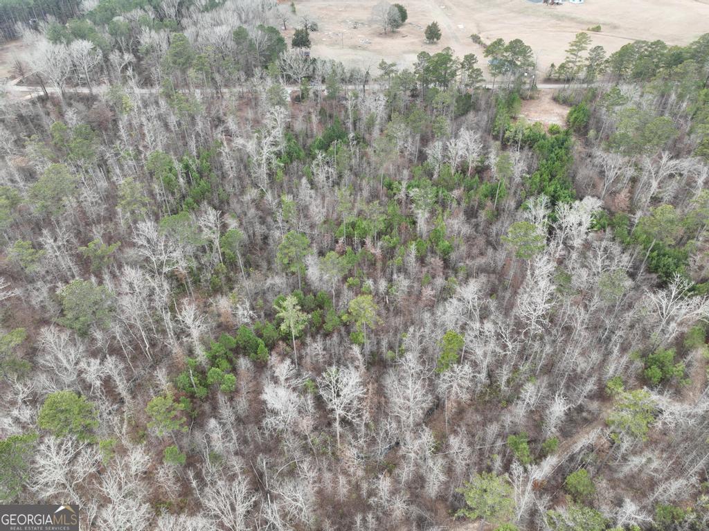 183 Rock Creek Road Flovilla, GA 30216 - Photo 4 of 10 a view of a dry yard with green space