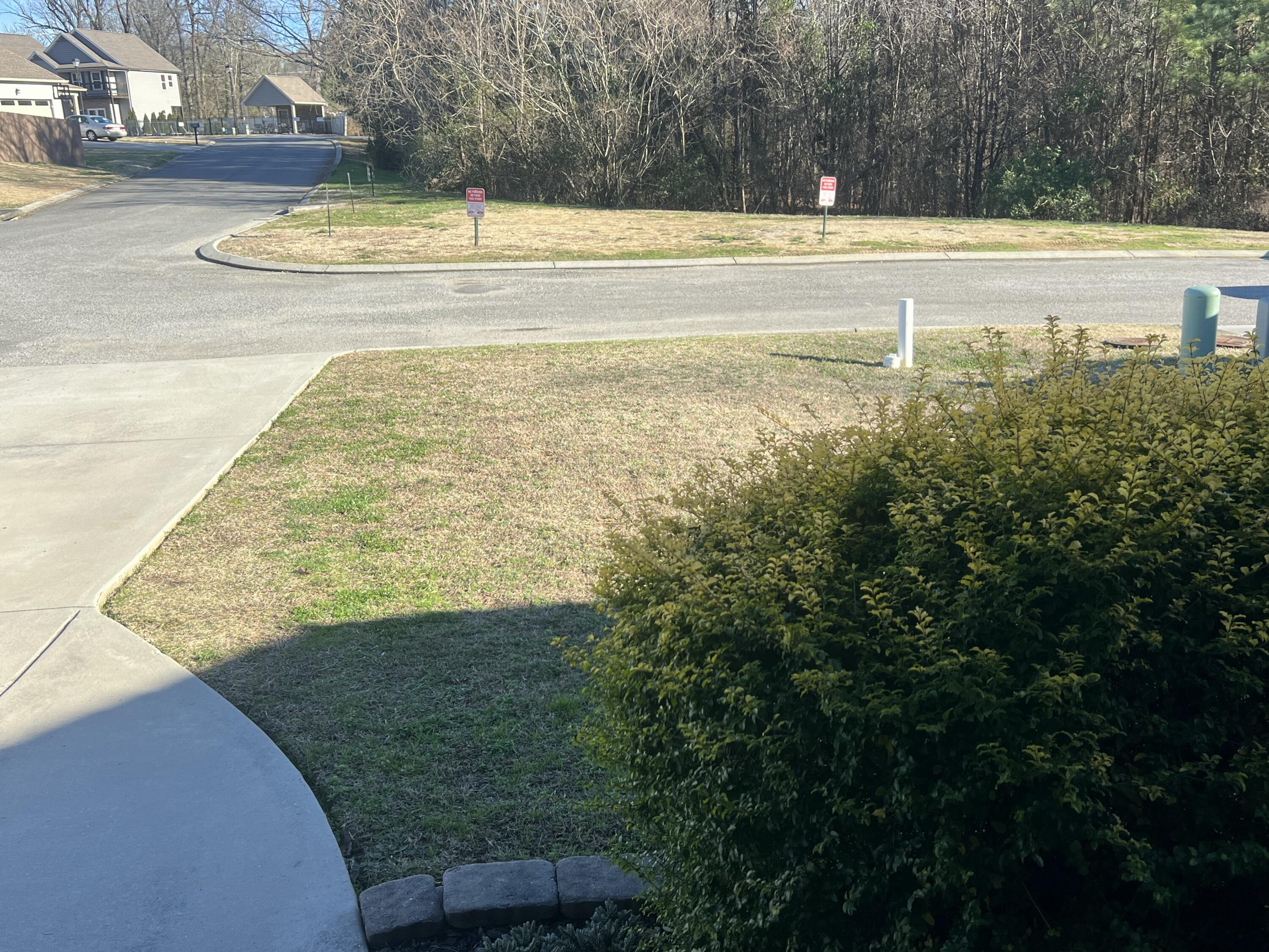 15 Georgetown Drive Ringgold, GA 30736 - Photo 4 of 45 Front yard view