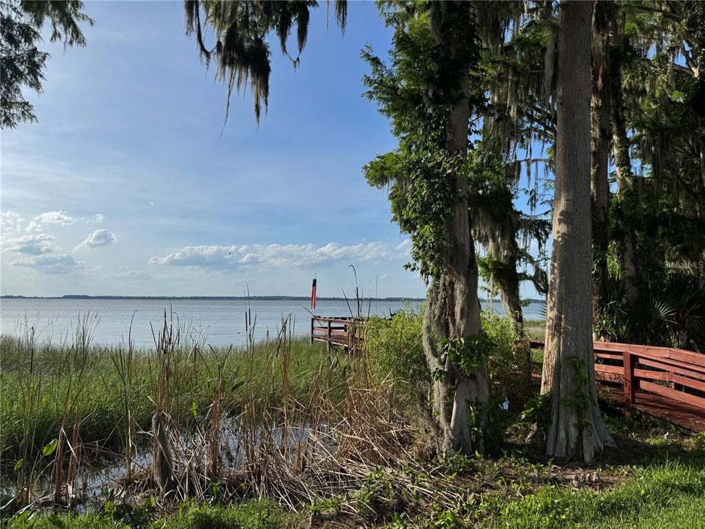 39 Forest Lane Eustis, FL 32726 - Photo 41 of 49