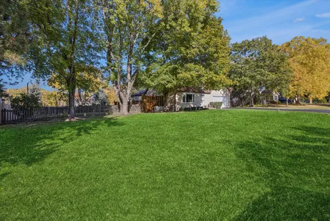 a view of a park with large trees