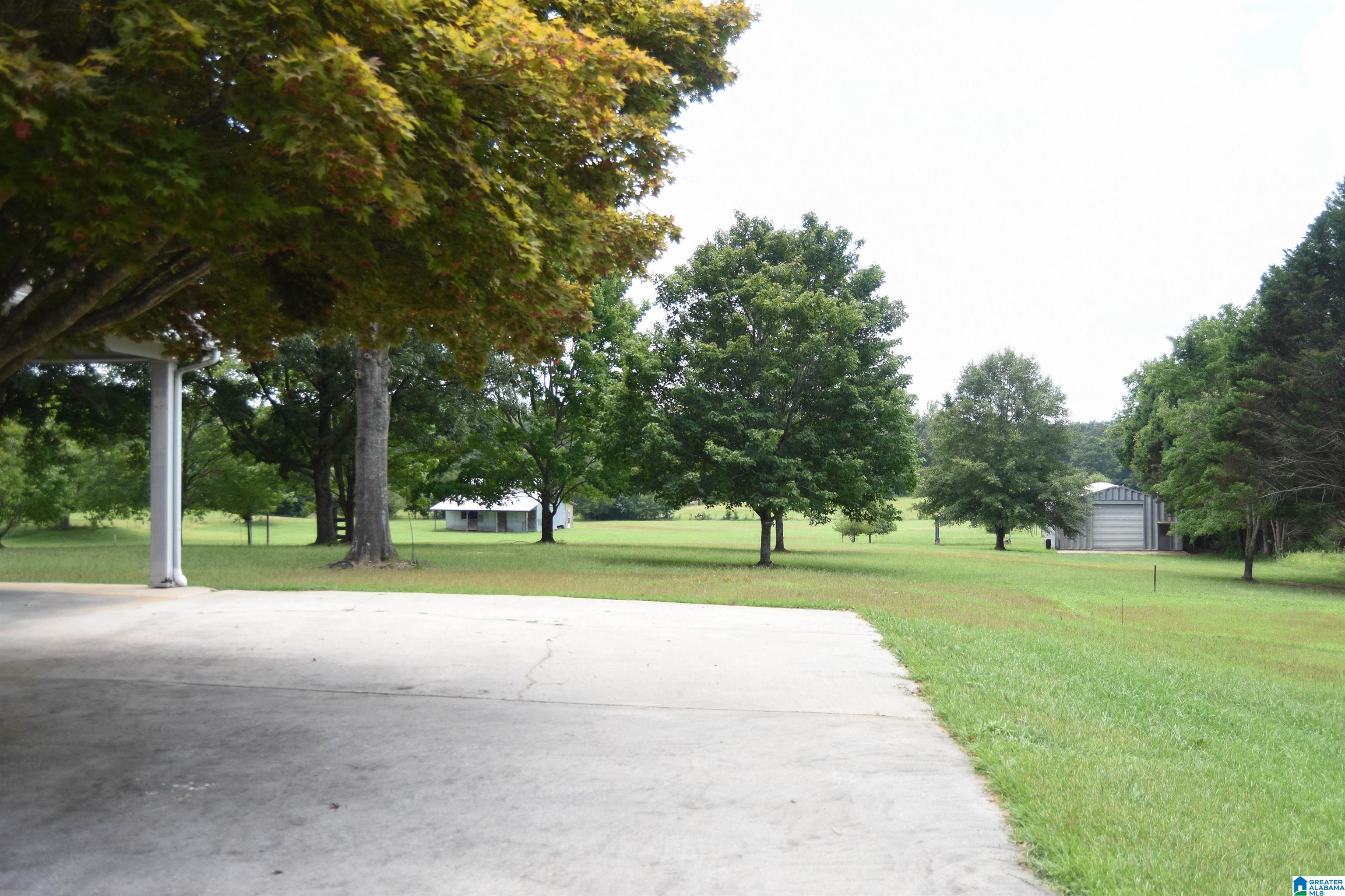 873 Buckelew Road Anniston, AL 36207 - Photo 8 of 91