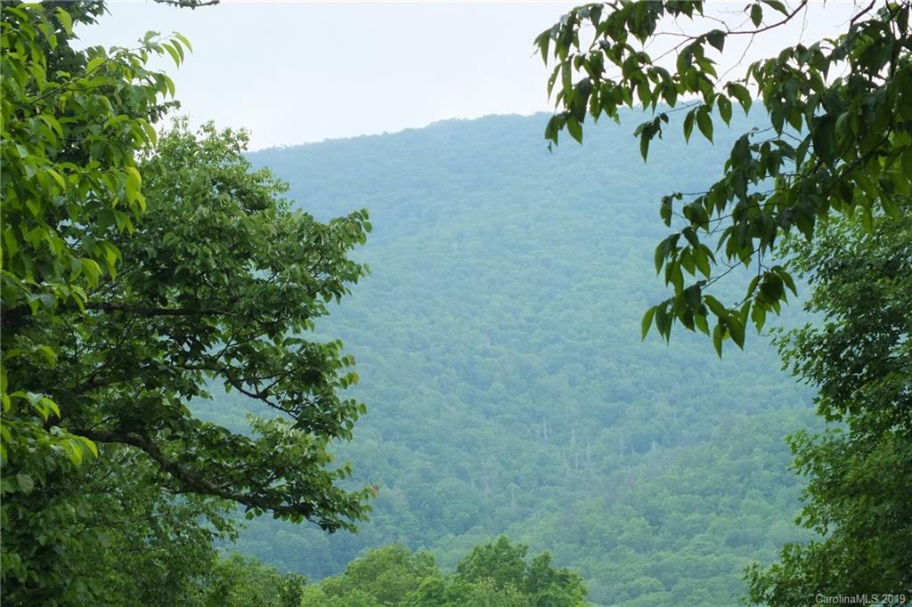 231 Spruce Flats Road Maggie Valley, NC 28751 - Photo 28 of 41 Gallery Image 28