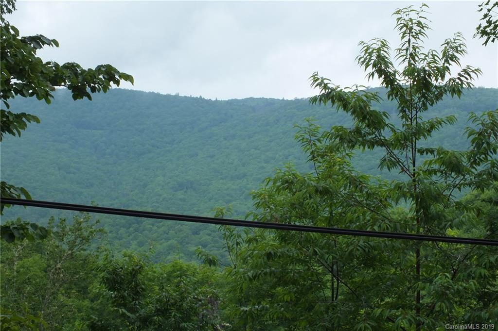 231 Spruce Flats Road Maggie Valley, NC 28751 - Photo 37 of 41 Gallery Image 37