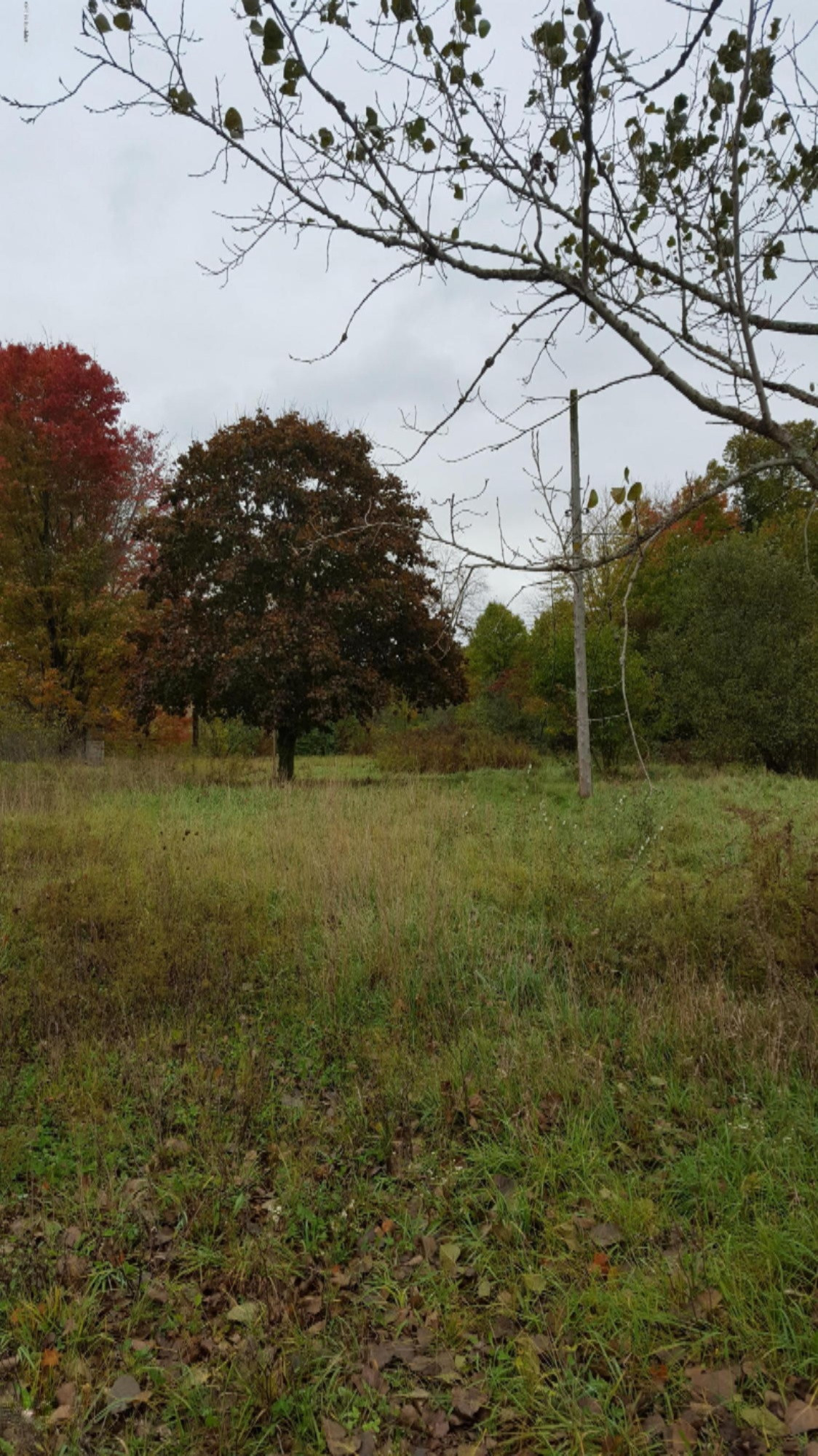 62169 Youngs Prairie Road Three Rivers, MI 49093 - Photo 3 of 4 20161027_105759
