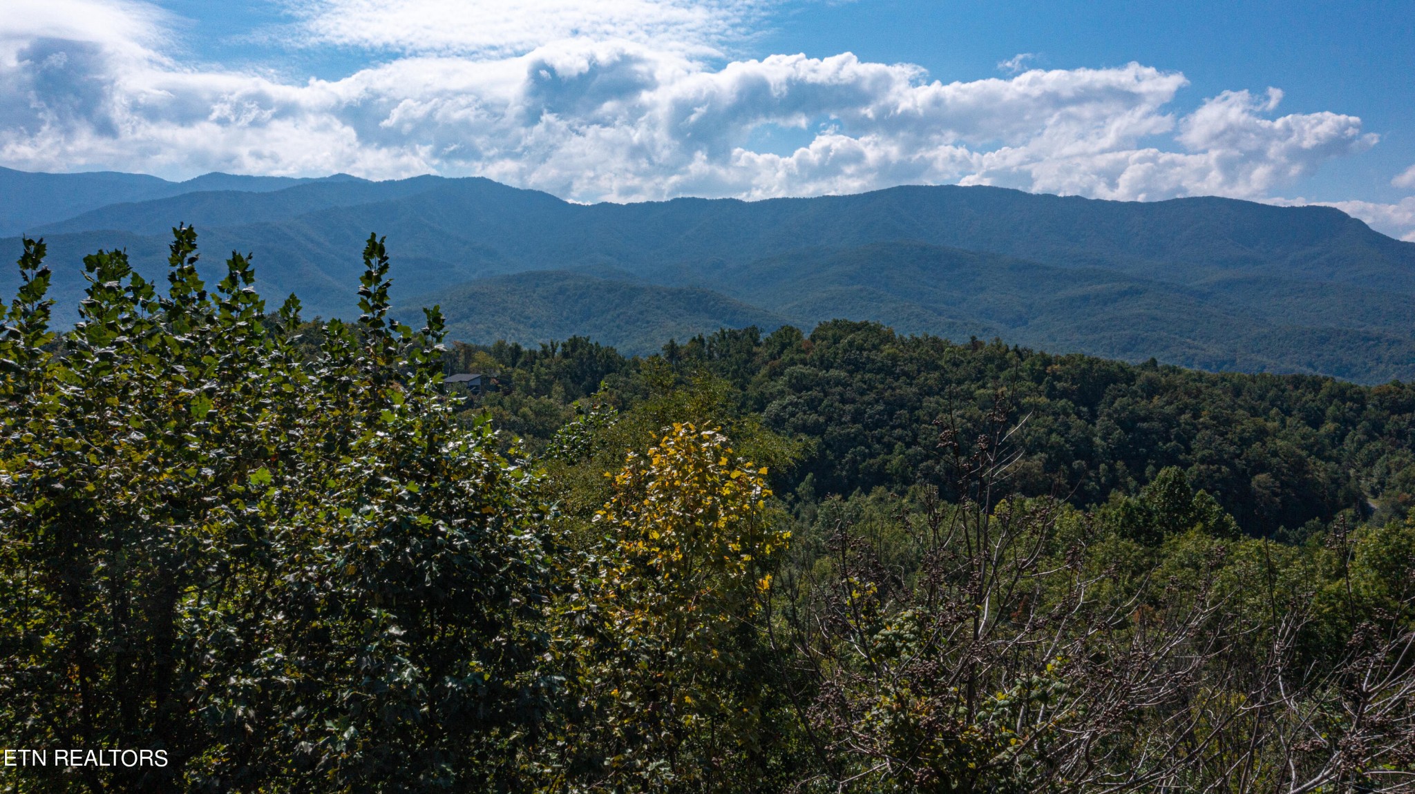 920 Old Field Ridge Way Gatlinburg, TN 37738 - Photo 1 of 6 Gallery Image 1
