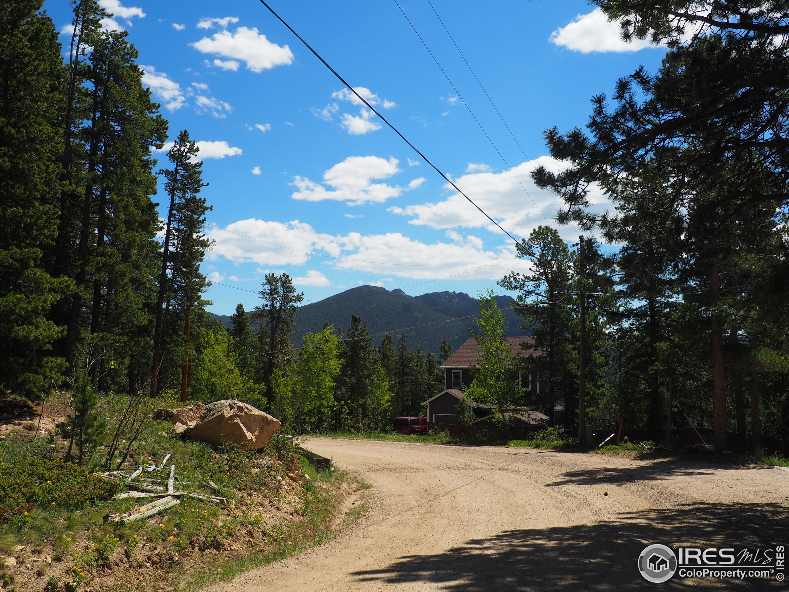 0 Caesar Road Black Hawk, CO 80422 - Photo 1 of 10 a view of a yard with a tree