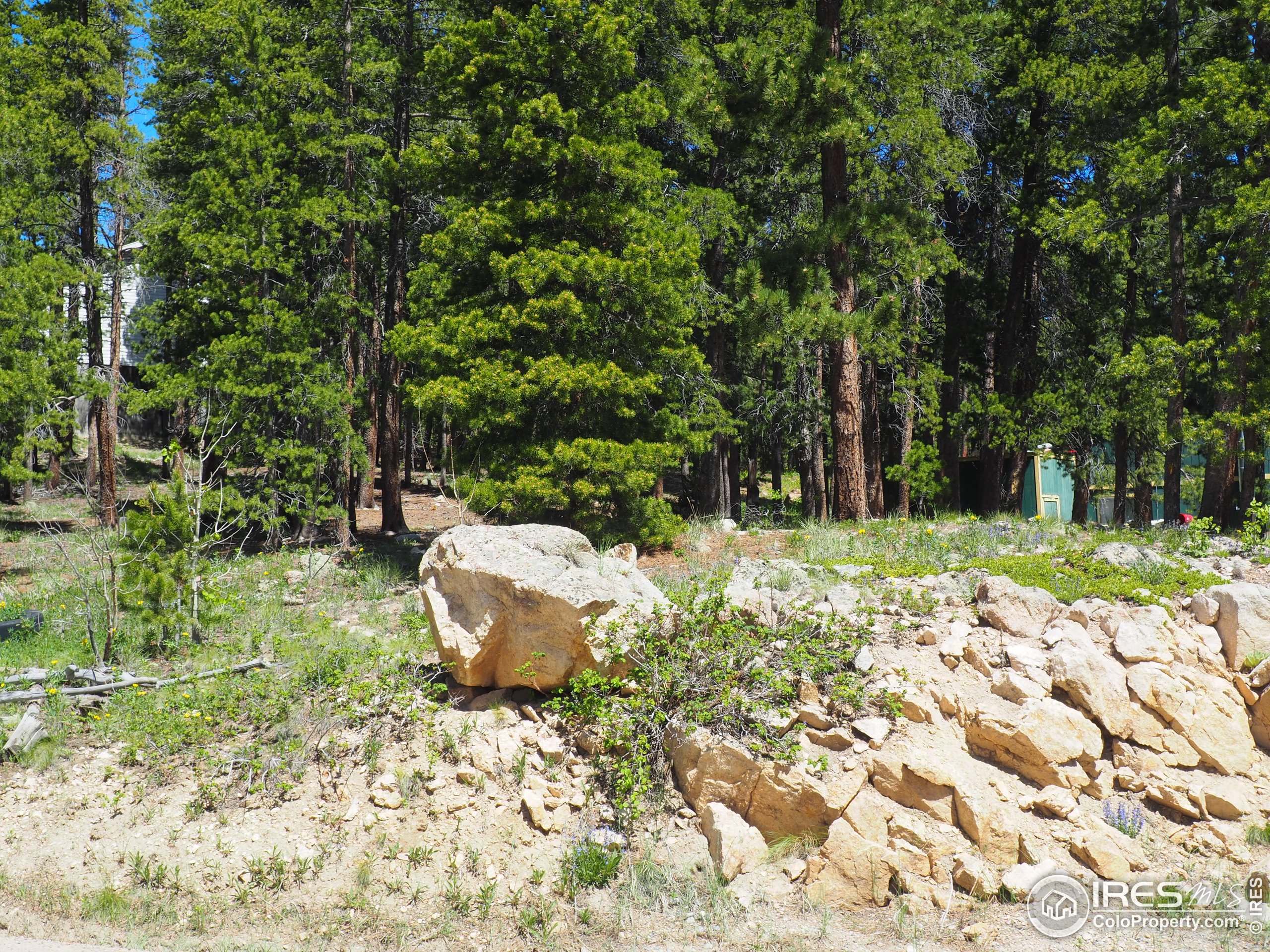 0 Caesar Road Black Hawk, CO 80422 - Photo 2 of 10