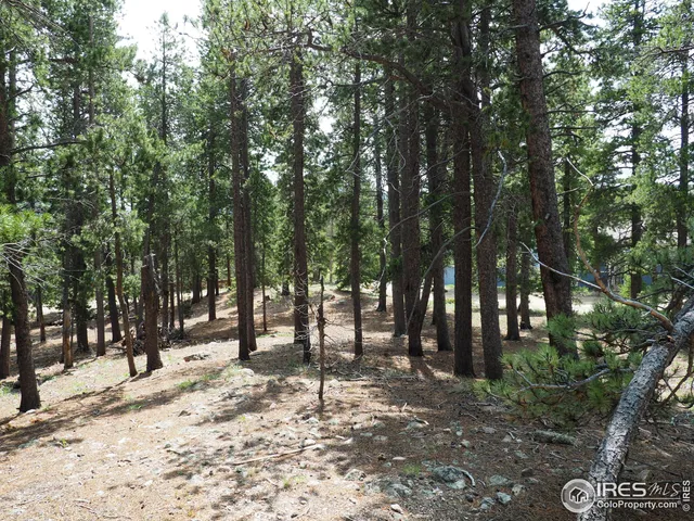 a view of road with trees