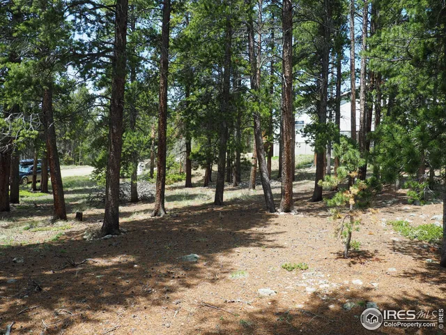 a view of a yard with trees