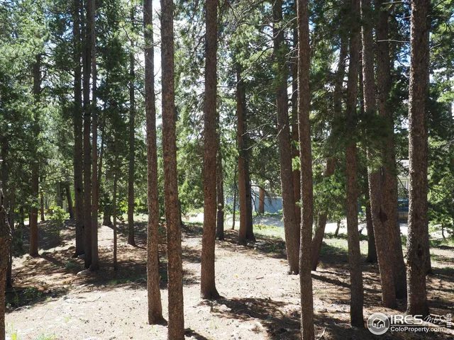 a view of a tree in the backyard of the house