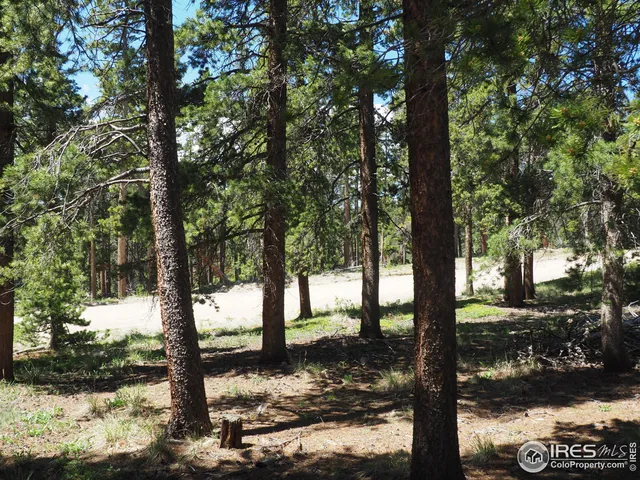 a view of a backyard of the house