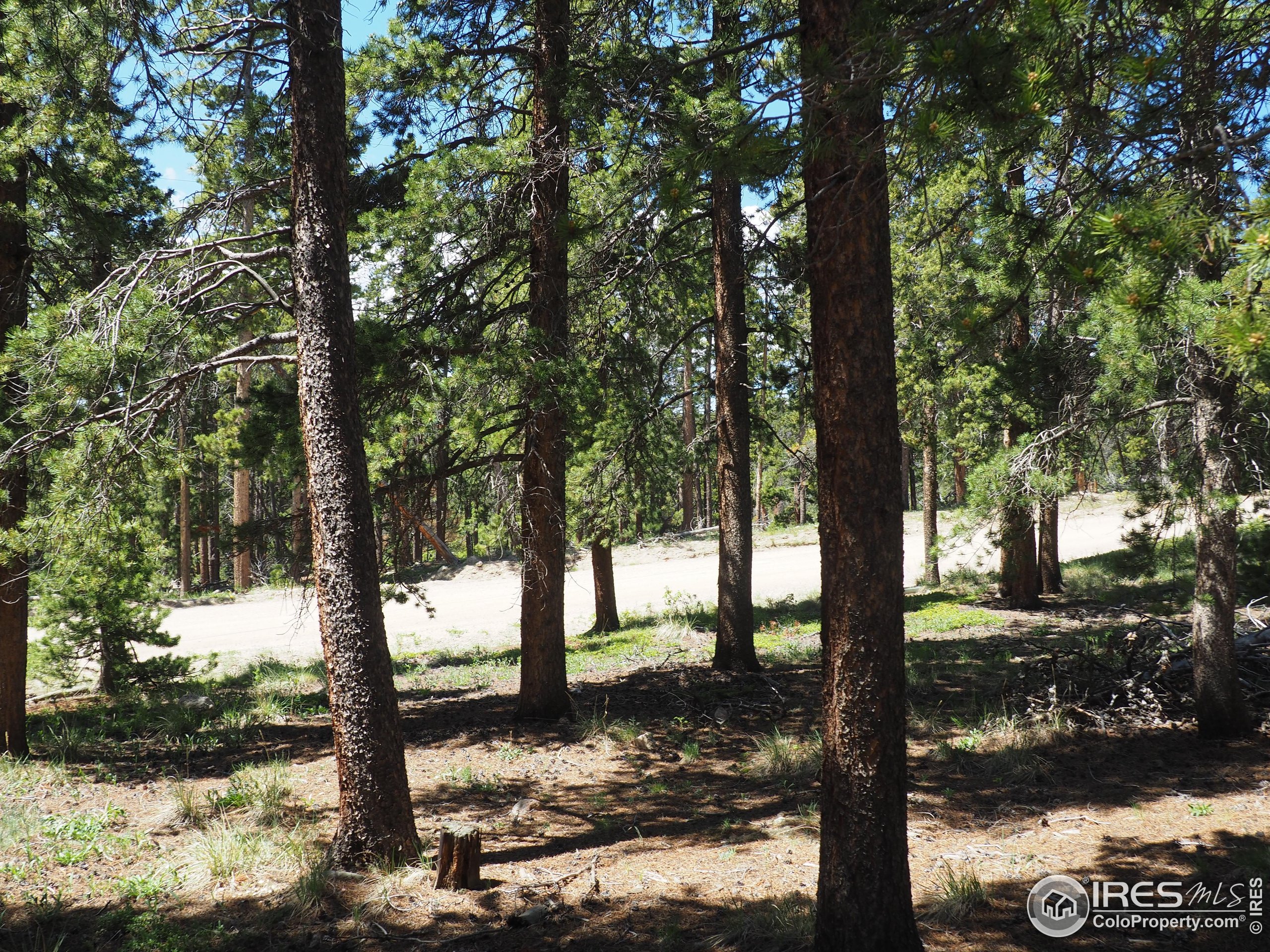0 Caesar Road Black Hawk, CO 80422 - Photo 8 of 10 a view of a yard