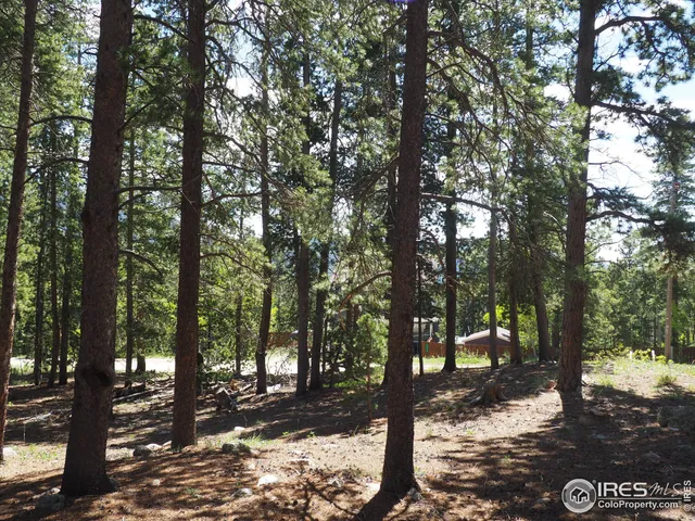 $45,000 | 0 Caesar Road, Black Hawk, CO 80422