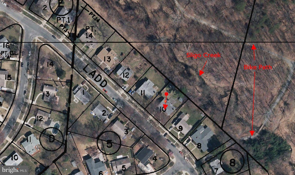 1605 Ladd Street Silver Spring, MD 20902 - Photo 4 of 30 Great views and access to Sligo Creek Park.