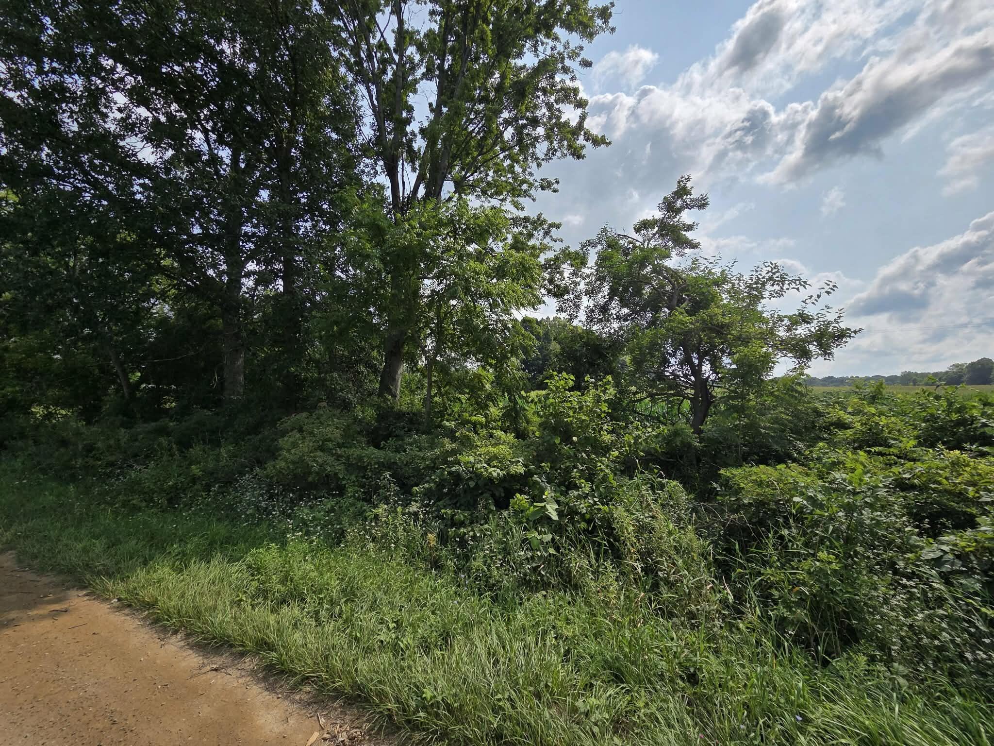13 Mile Road Tekonsha, MI 49092 - Photo 2 of 7 b2d34530-1747-422b-ab51-c85cd29a1b57 (1)