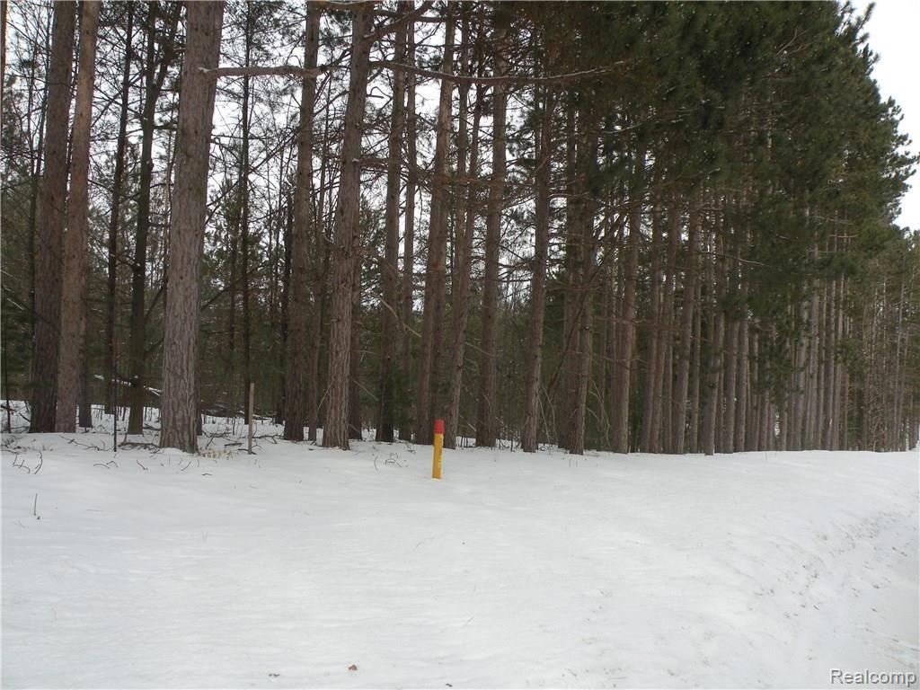 N/a Cedar Run Road Traverse City, MI 49684 - Photo 8 of 9