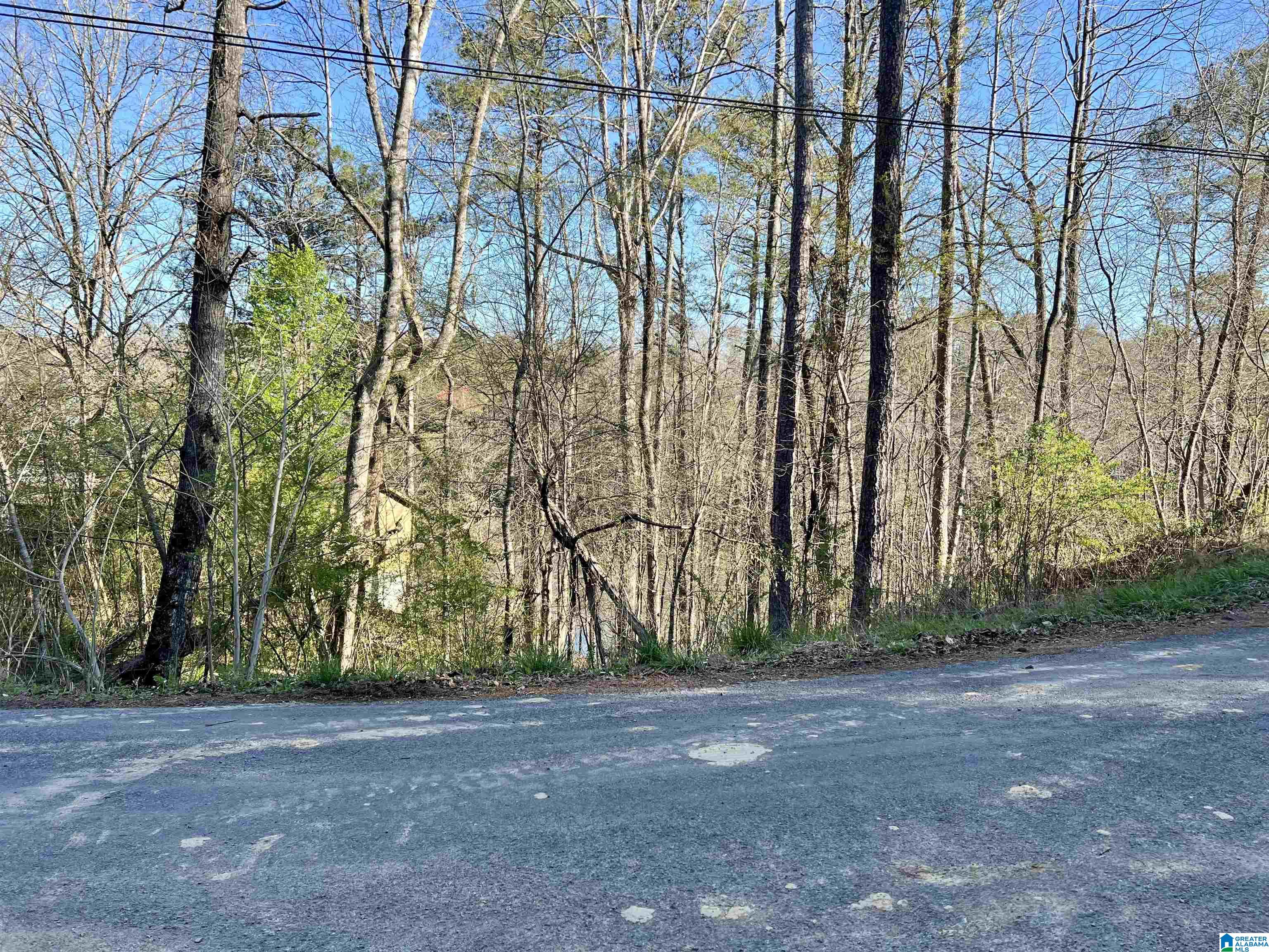 0 Lakeshore Lane, Unit 3 Oneonta, AL 35121 - Photo 13 of 21