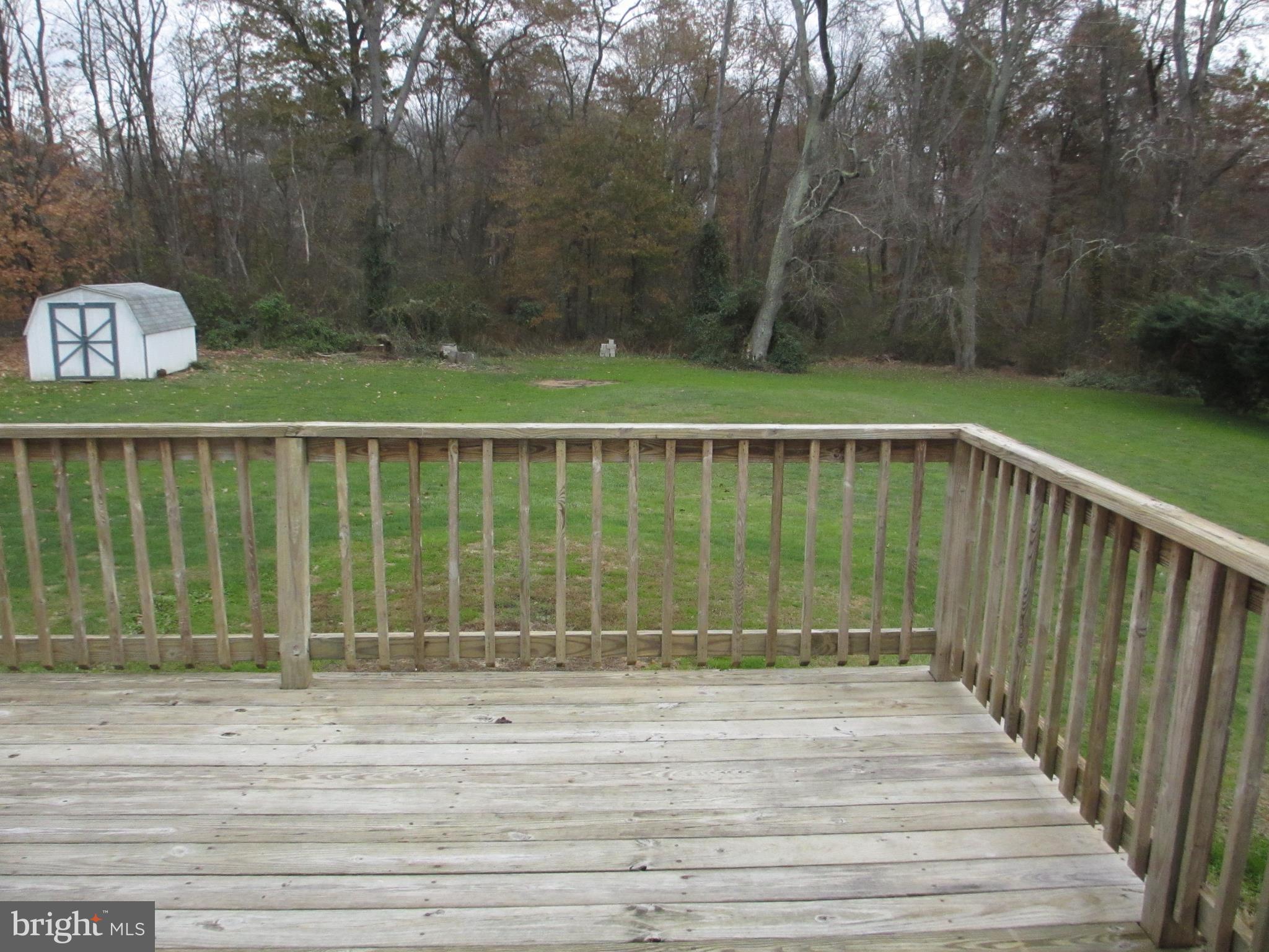 91 Porter Road North East, MD 21901 - Photo 11 of 11 Rear Deck and shed #2