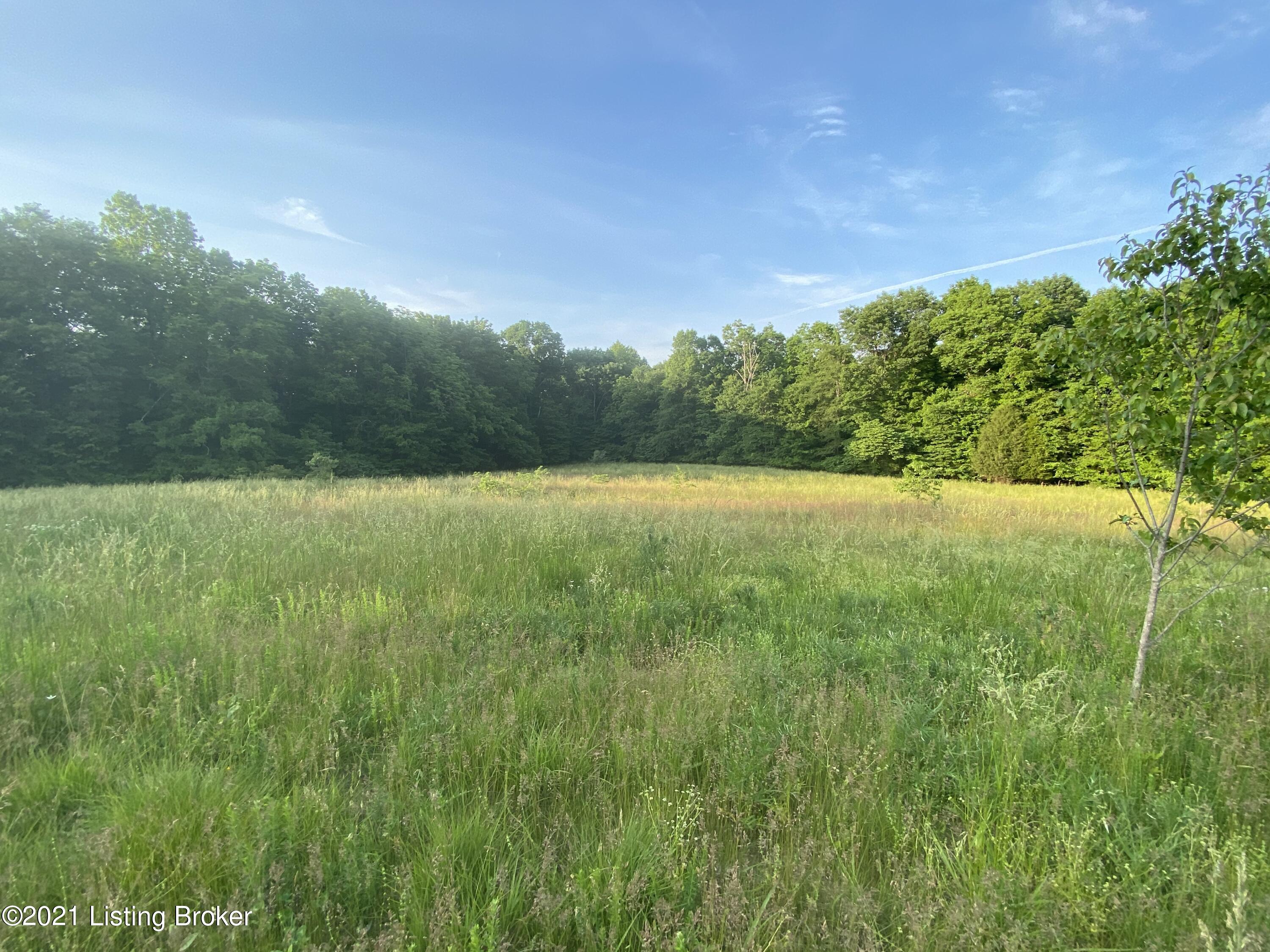201 A Fox Run Road Caneyville, KY 42721 - Photo 9 of 14 Tract A(1)