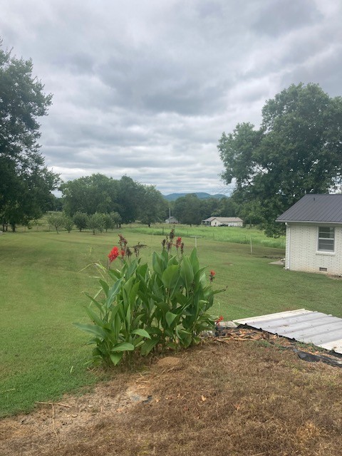 638 Locke Creek Road Readyville, TN 37149 - Photo 10 of 25 Gallery Image 10