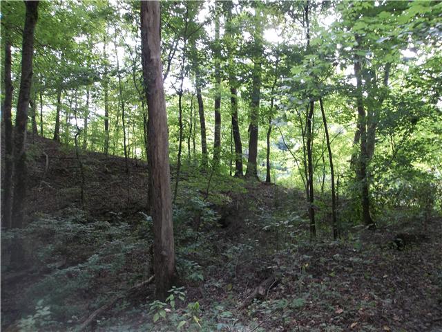 0 Billy Carlton Road Linden, TN 37096 - Photo 5 of 11 Gallery Image 5