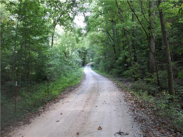 0 Billy Carlton Road Linden, TN 37096 - Photo 6 of 11 Gallery Image 6