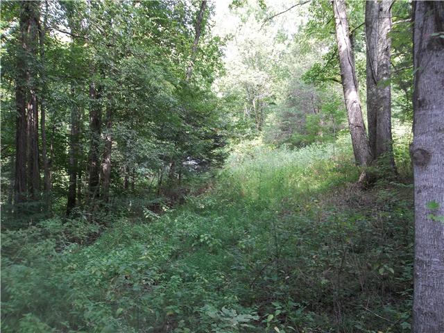 0 Billy Carlton Road Linden, TN 37096 - Photo 8 of 11 Gallery Image 8